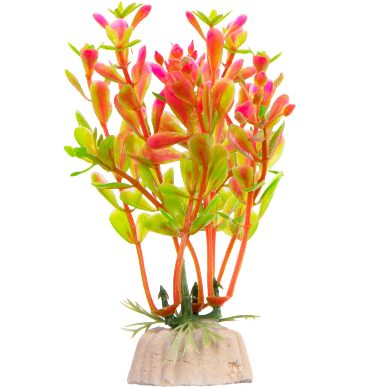 f719da03be633ab5ad838661ce122b0a