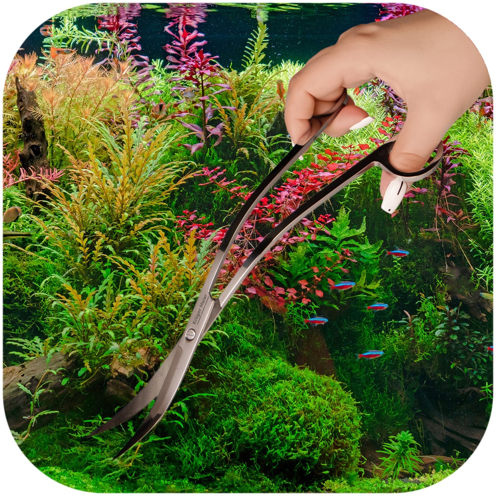 a6b75bbc7b7c3cd1e6de28a6888d3408