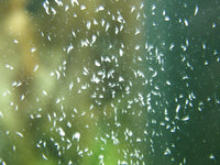 43c204c8a71b79173feb32e9be3bda0a