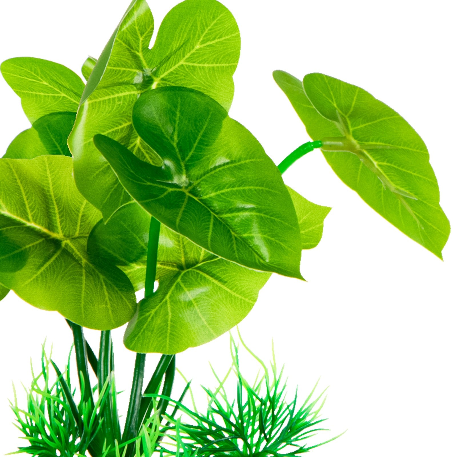 a19e1b4902c66aca2a48c27b68cd831d