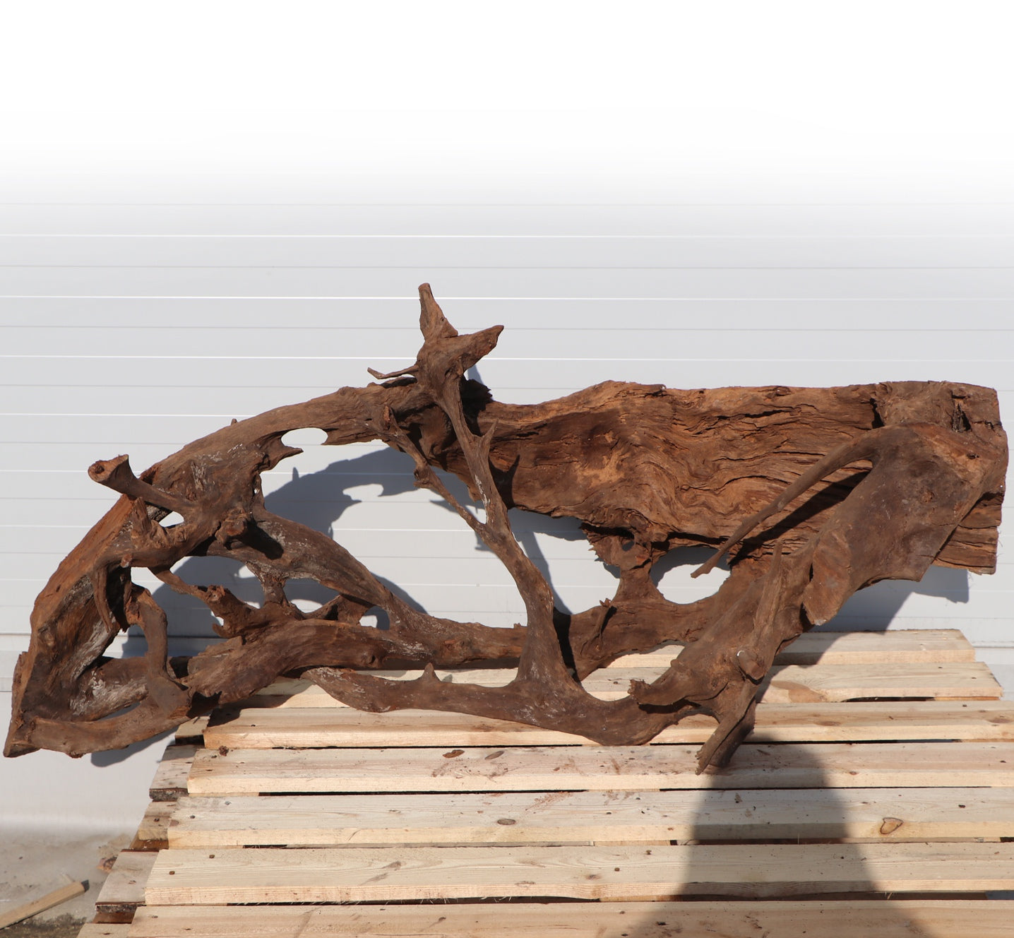 2c01c1882bc2806ba140c5ed29a6598a