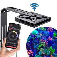 90fa4828c99a0dd7289b1fbef6d22d0d