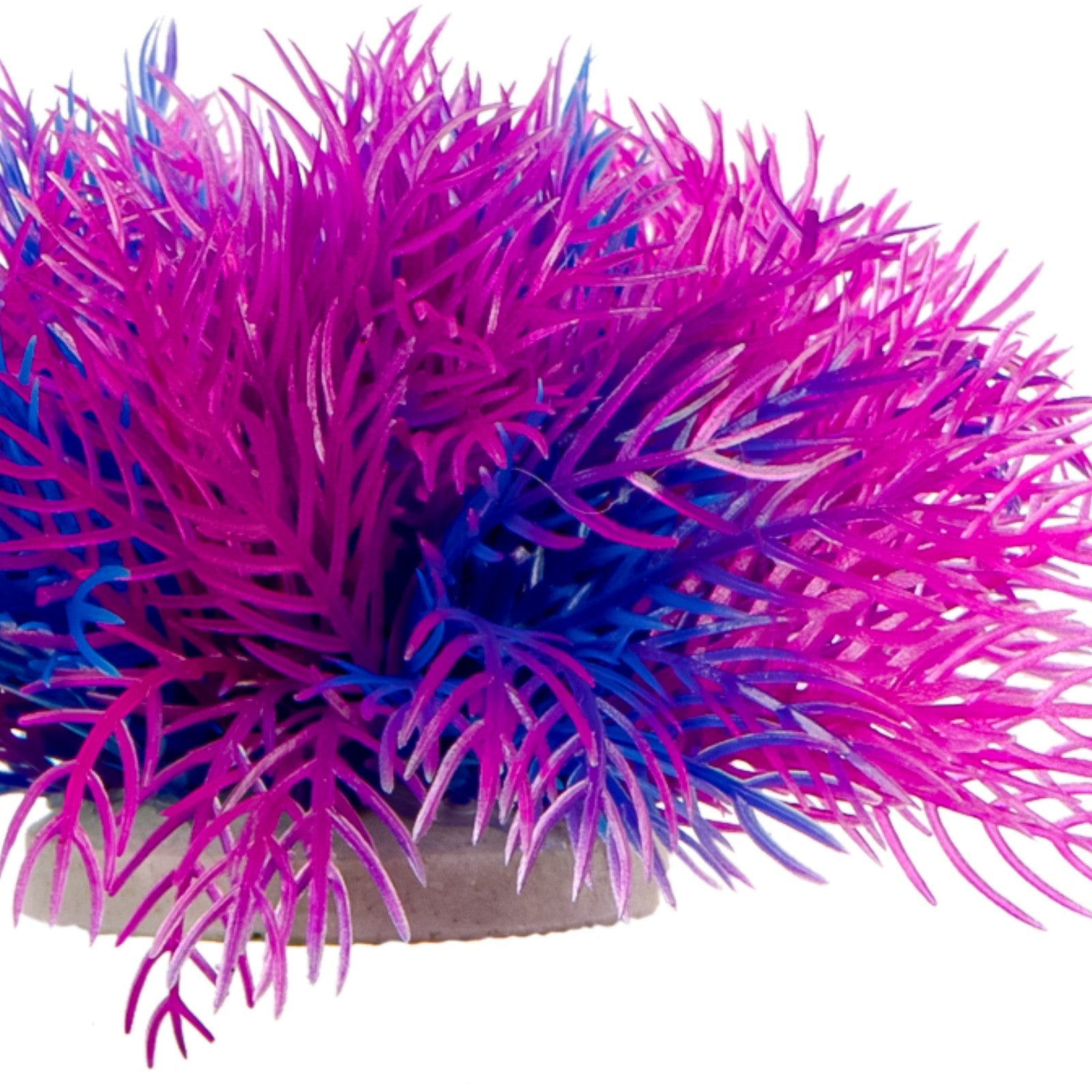 6a37c4c962769de600d47d516dbaf7bc