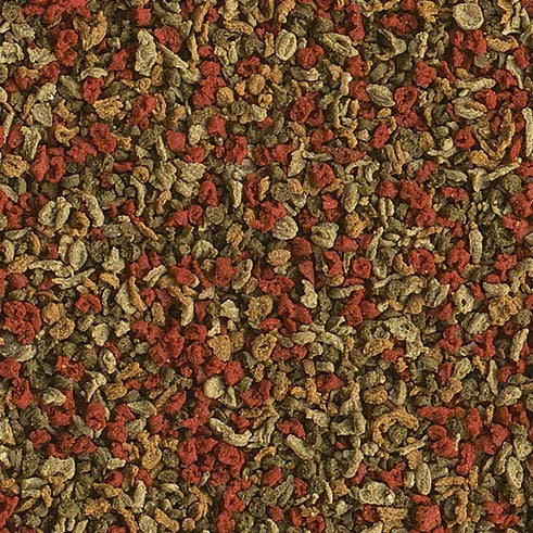 c6e9045481cebca6da388c6e343d5ade