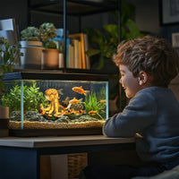 615aeb0255094ed9be10fa5697035dcb