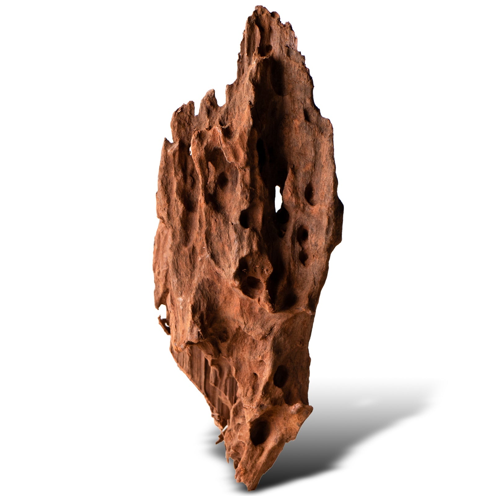 5df66c05266563da16f8353827c218b8