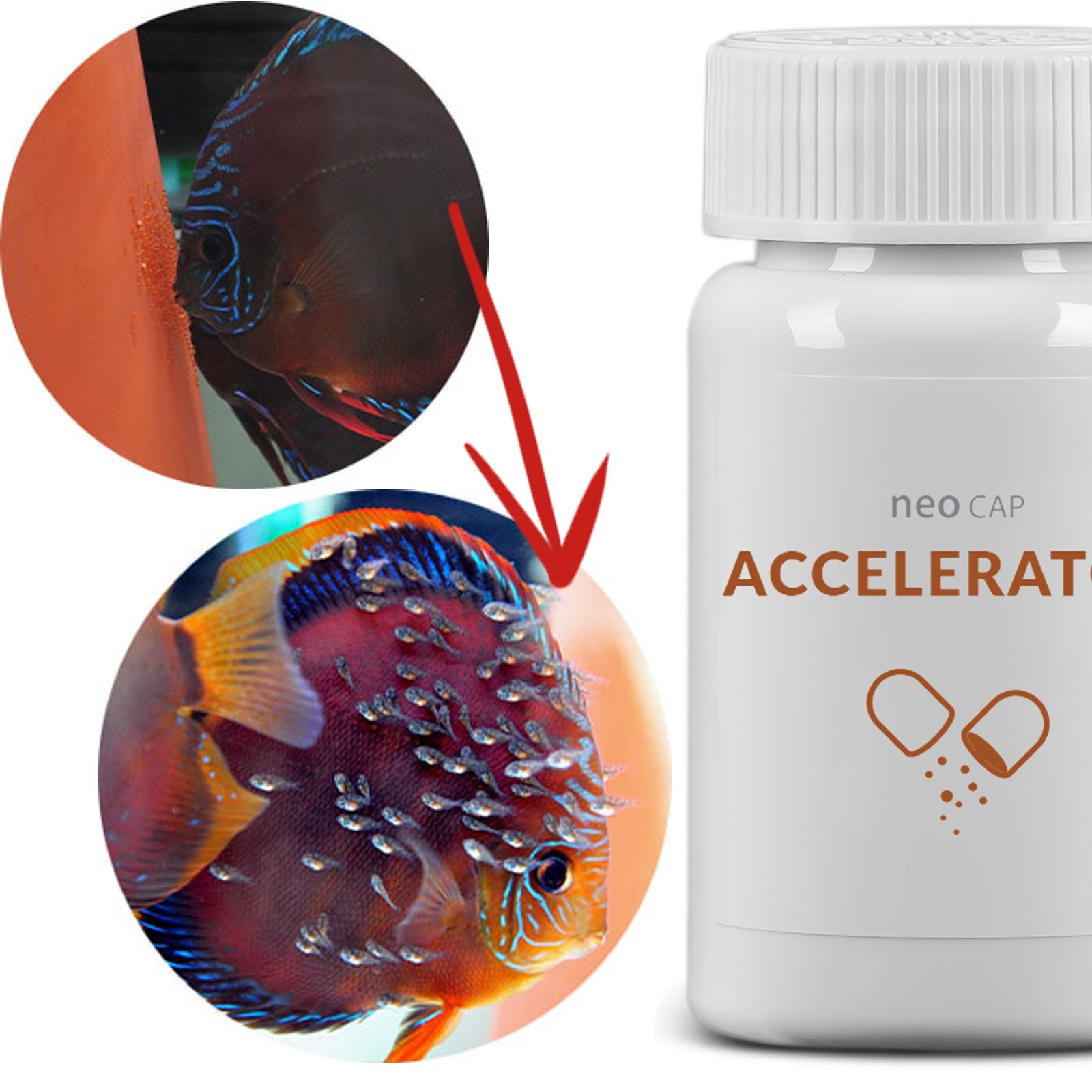 e402bb7ed6ede0a563c933da0425212d