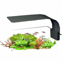 9f1060564f554a2a037e9a2c9eae8168