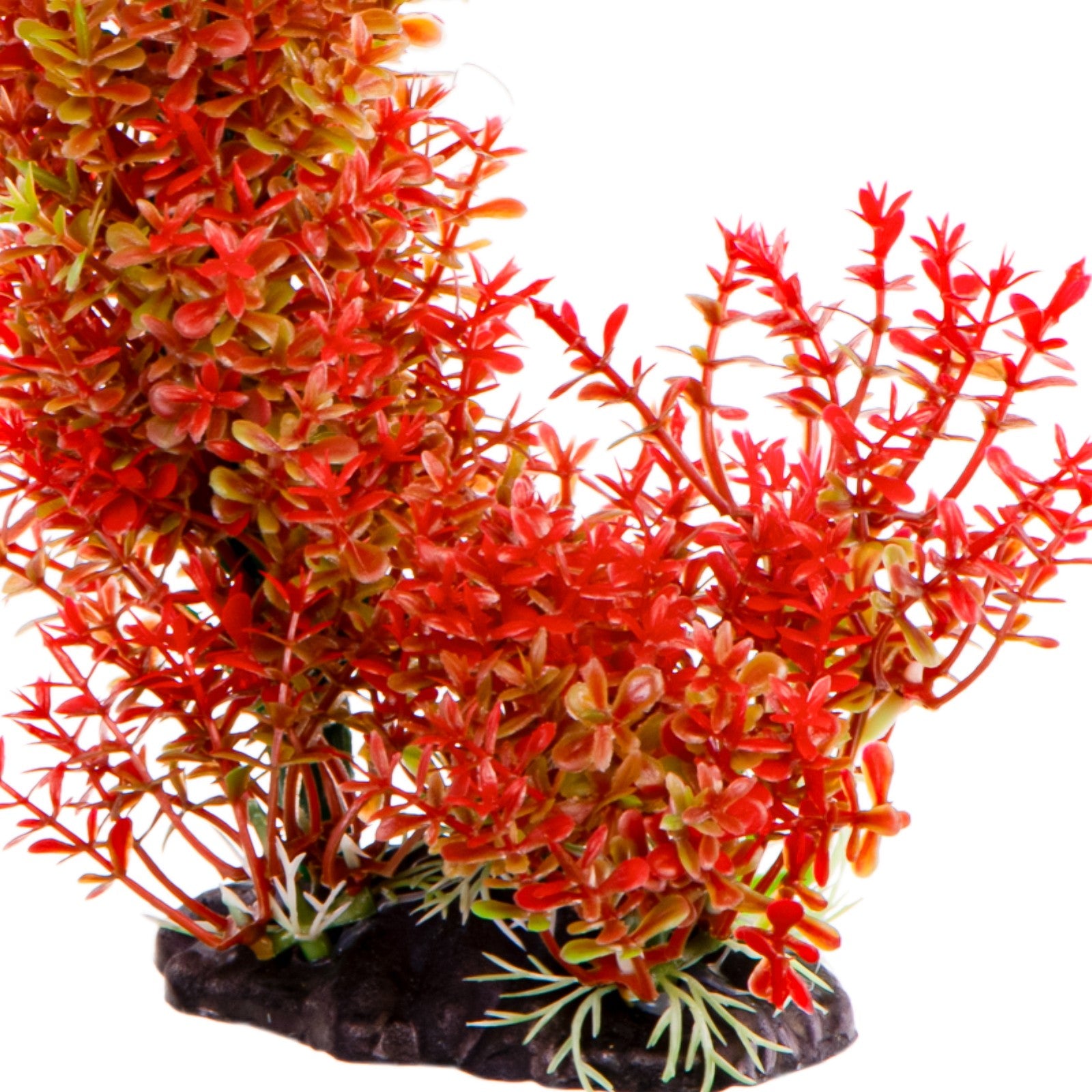 e0030689698735eb66e2b2fb76647ea9