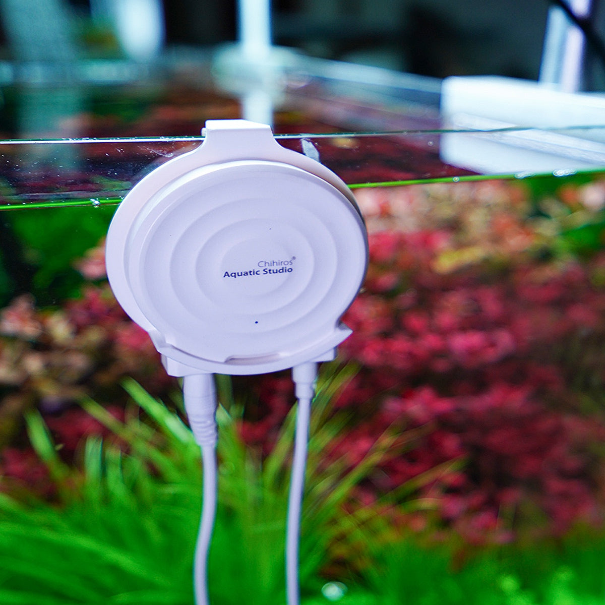 7db2865ccc76a7b1822a68657df460ab