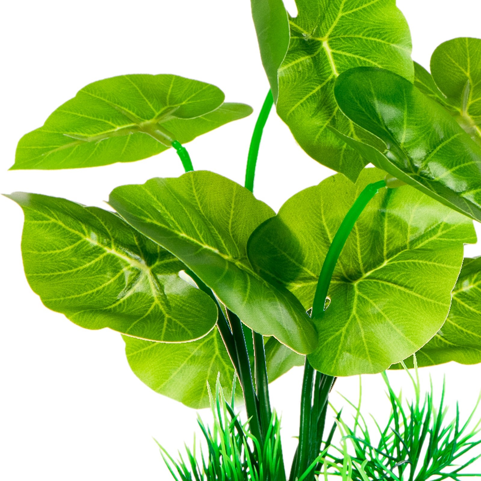 47cc601a5c0796af79bc27b91b702d9d