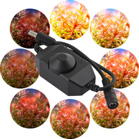 59d5ad421f42d7c96c0310dda66937c6