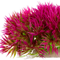 75b38c0f765350f8240f1bbc1c3e6e74