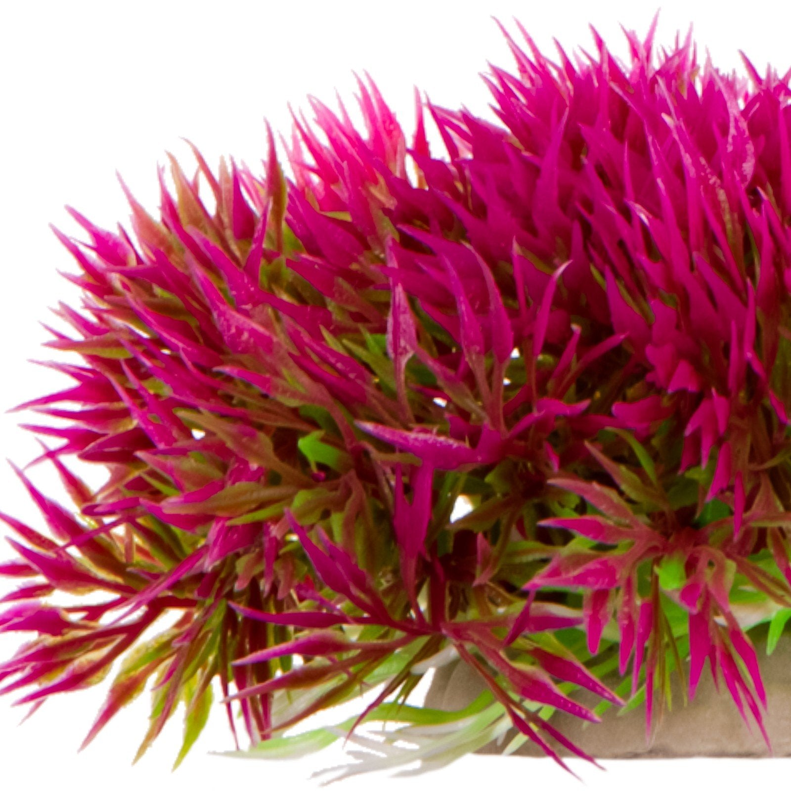 75b38c0f765350f8240f1bbc1c3e6e74