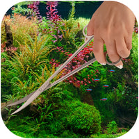 d74067487ef9b04f49df196877812d8e