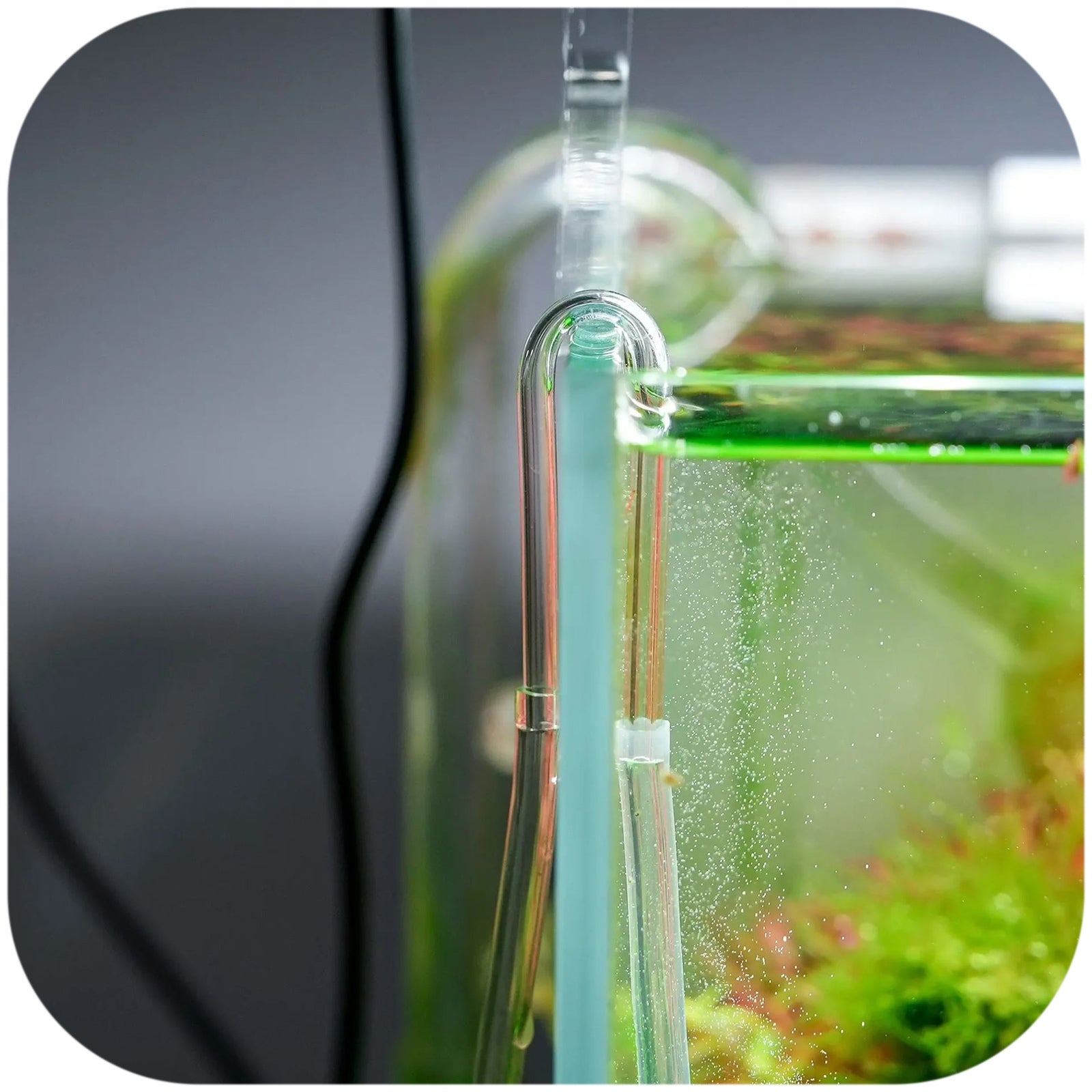 bb808fbb924a88873b5a6bd3f5bc0a4a