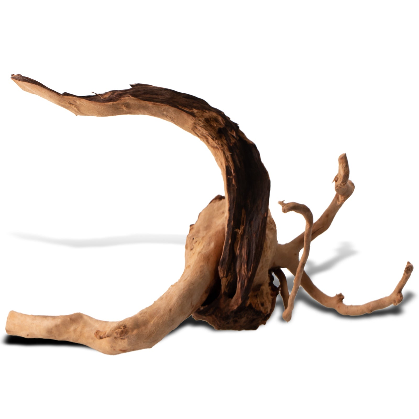 bb1b806a2935890f38bf747bc2d7ed6c