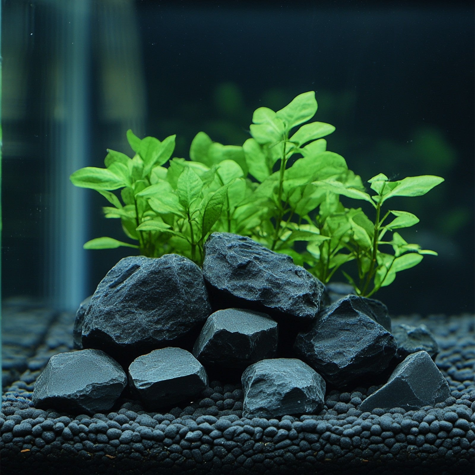 4f7819a26715afade2e68d1cf0458ada