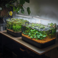 25348fa4de1b382557c329fe7f2f8cce