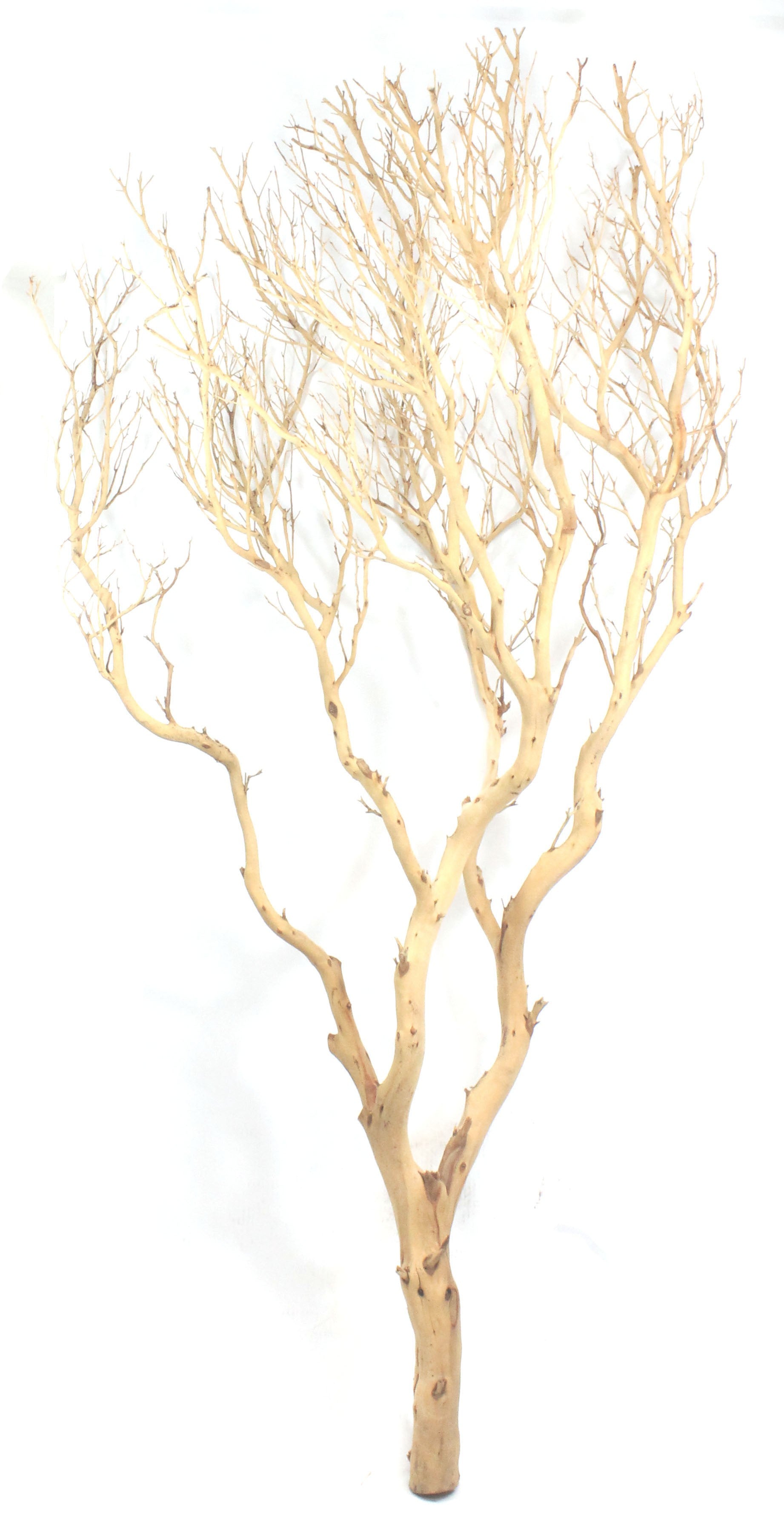 ab56a128553f7533d871a5d828cfef1f