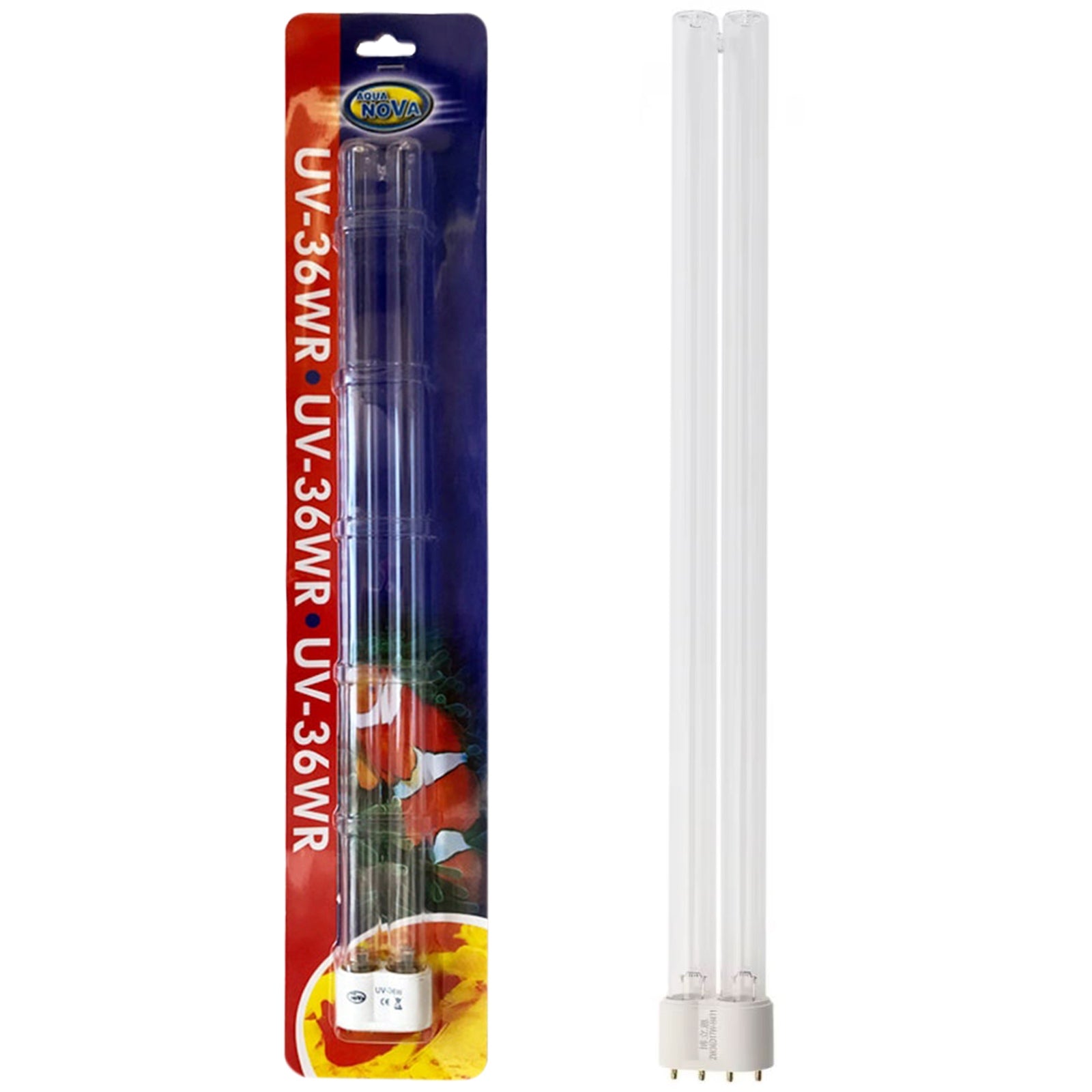 da86129d56a4cd29010e55fd91953f55