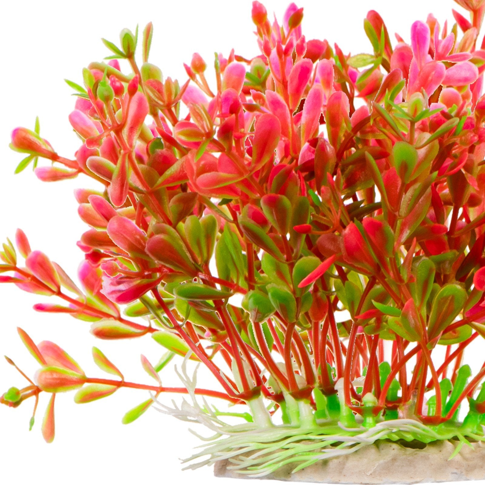 aca2c326a4df588e4c9272629bb57e75