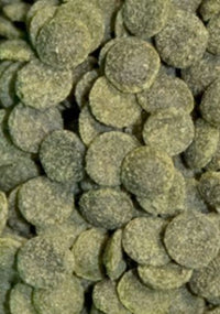 e9505461ccd5126d1f57d4c52b3071f0