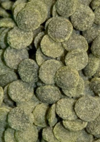 e9505461ccd5126d1f57d4c52b3071f0