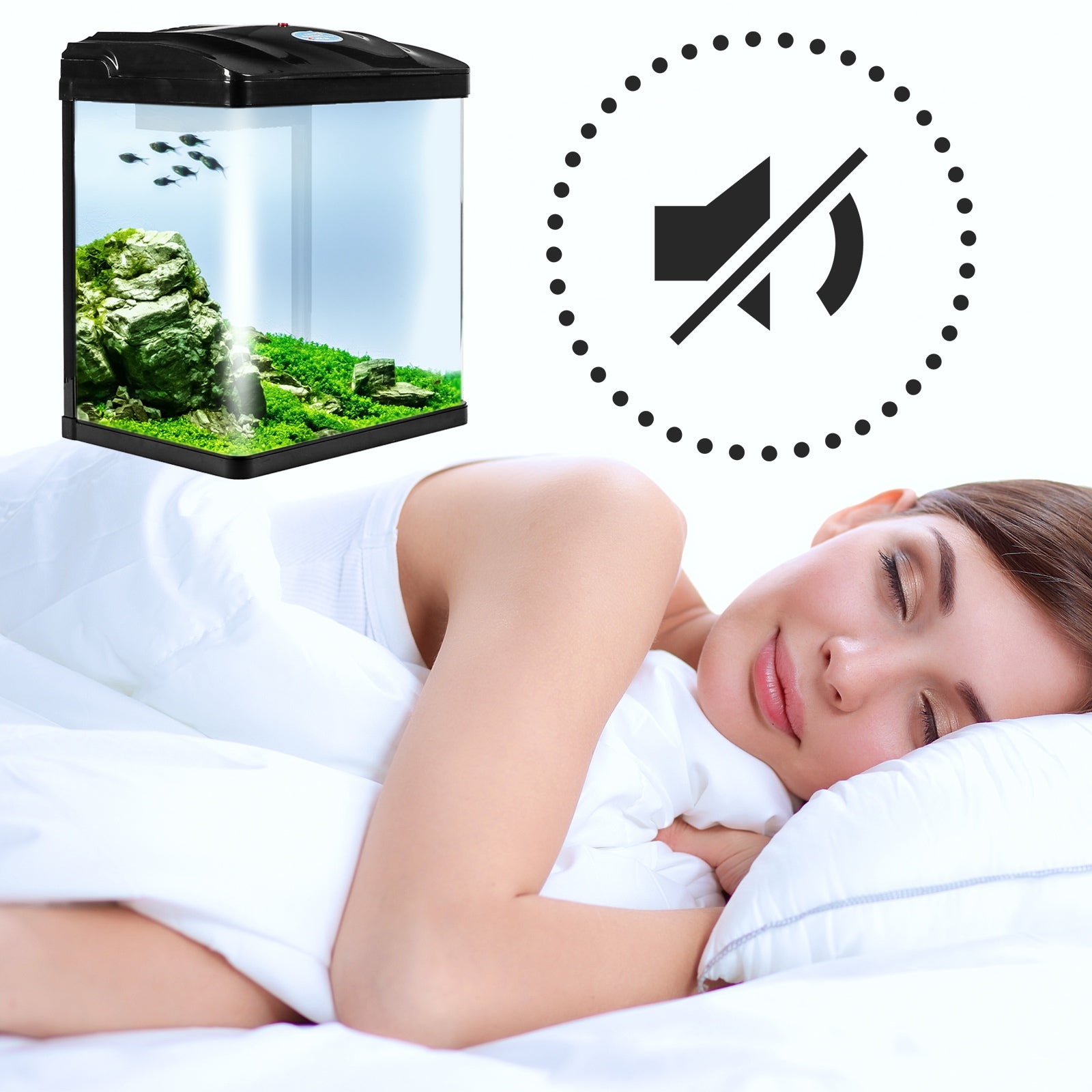 9950b6a42f646db8ec04c21e036c82f8