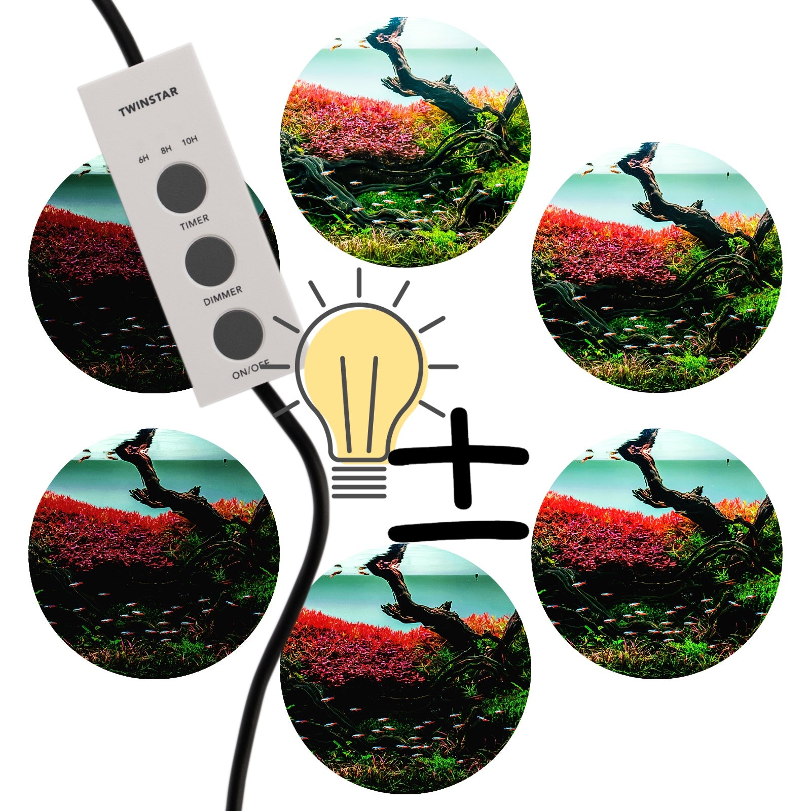 dbf8543ad16a5dd82c6559f0033a0424