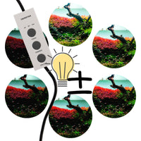 dbf8543ad16a5dd82c6559f0033a0424