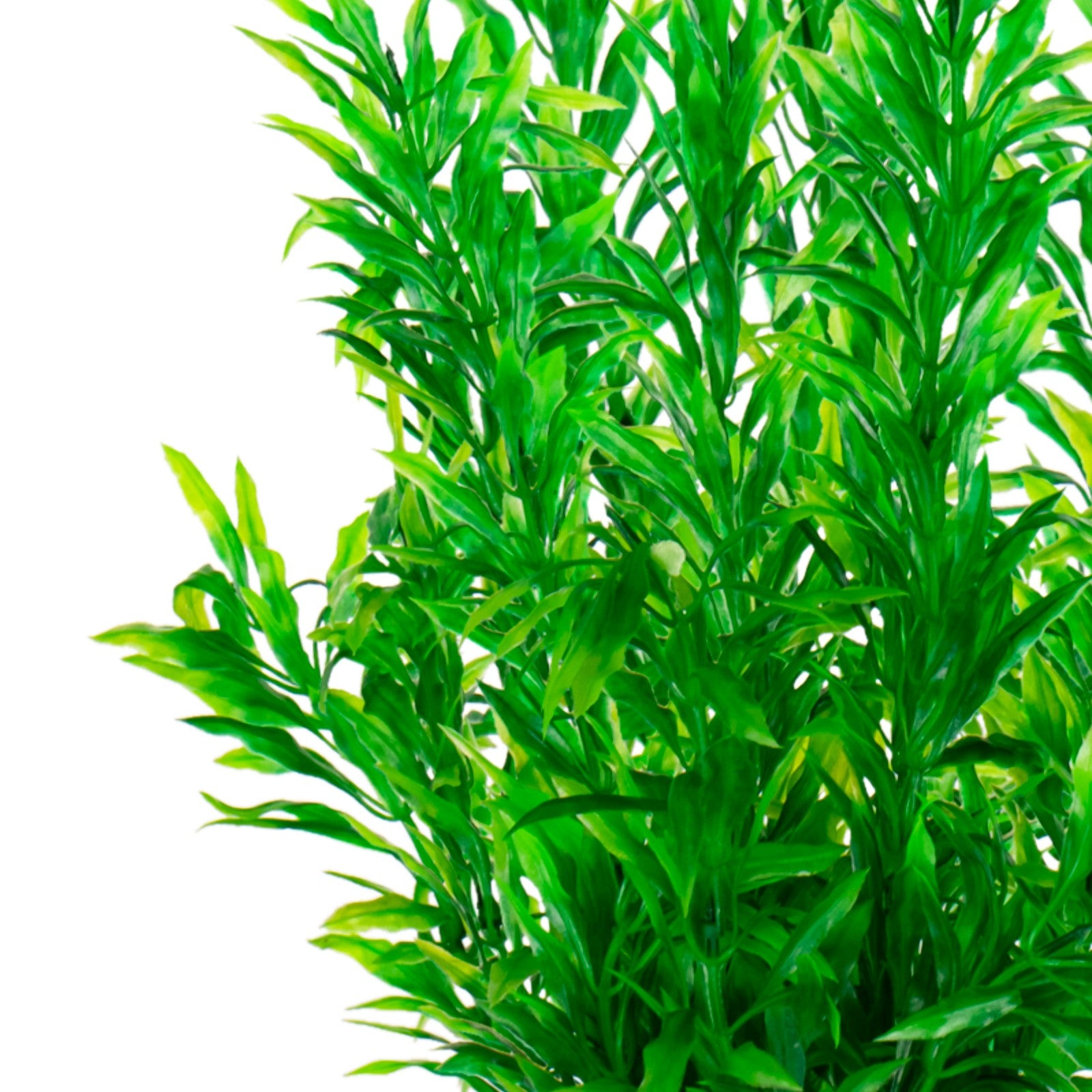 a26b68b87376fdd72bba2536721725b1