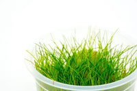 55bb0a7cd56630f0060ed2bc422026ed