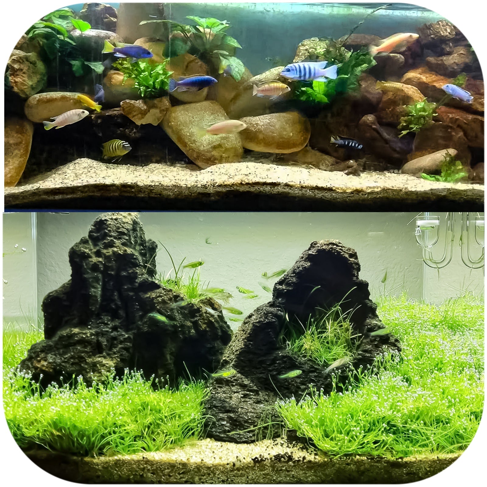 294de58b887451c784458495e9af7e02