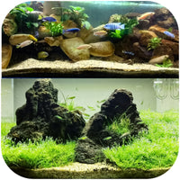 294de58b887451c784458495e9af7e02