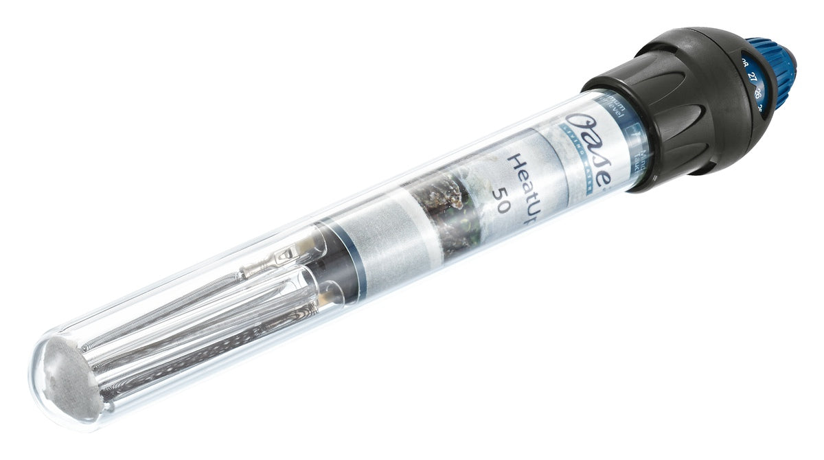 a534e290146b4bcffae95503936742db