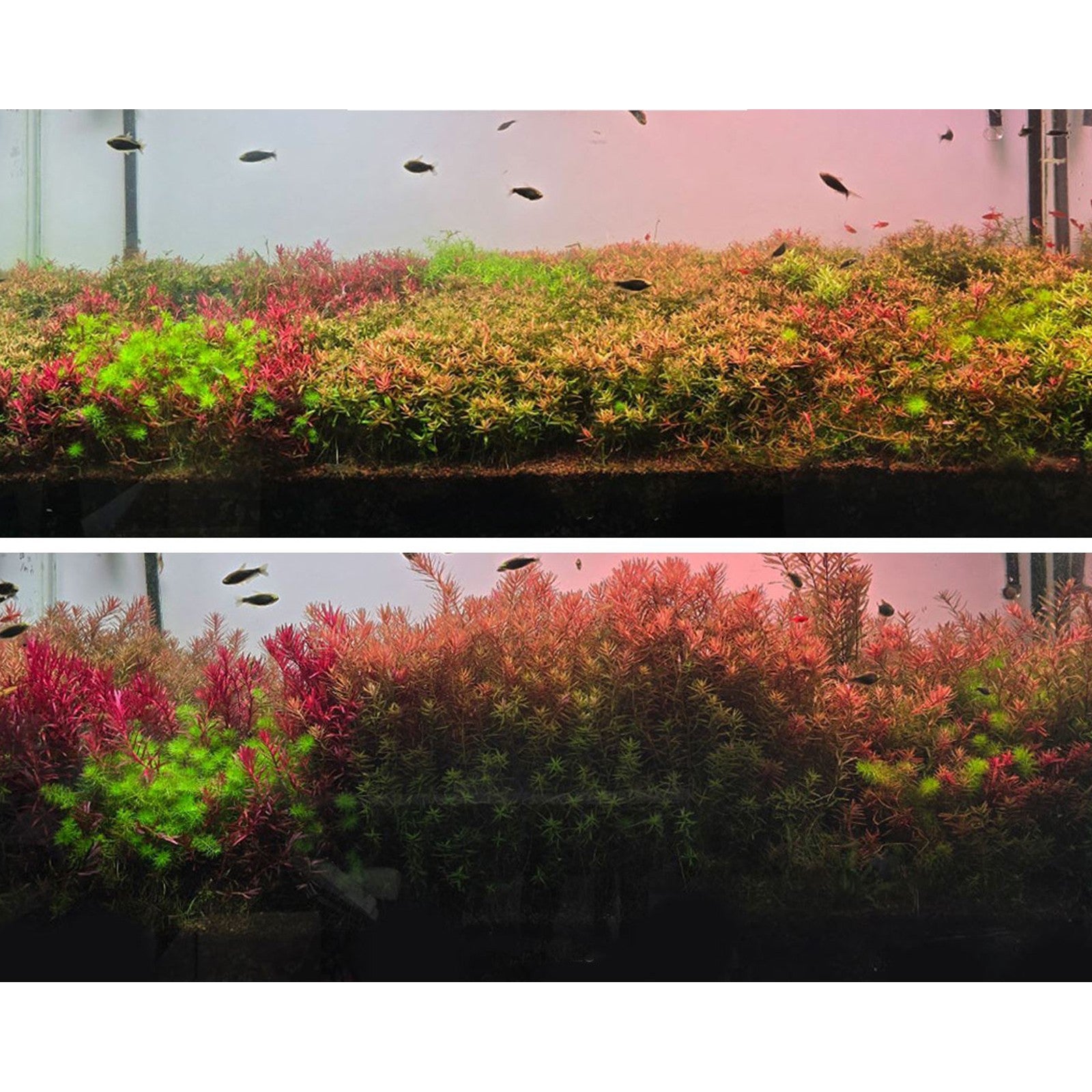 54b156f8bee0b23e9b9c417efe70876f