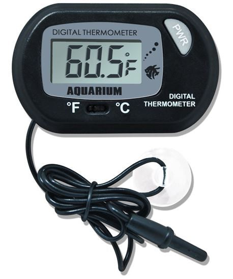 0db2fa8f4e1ee4863621ac3ff9738b74