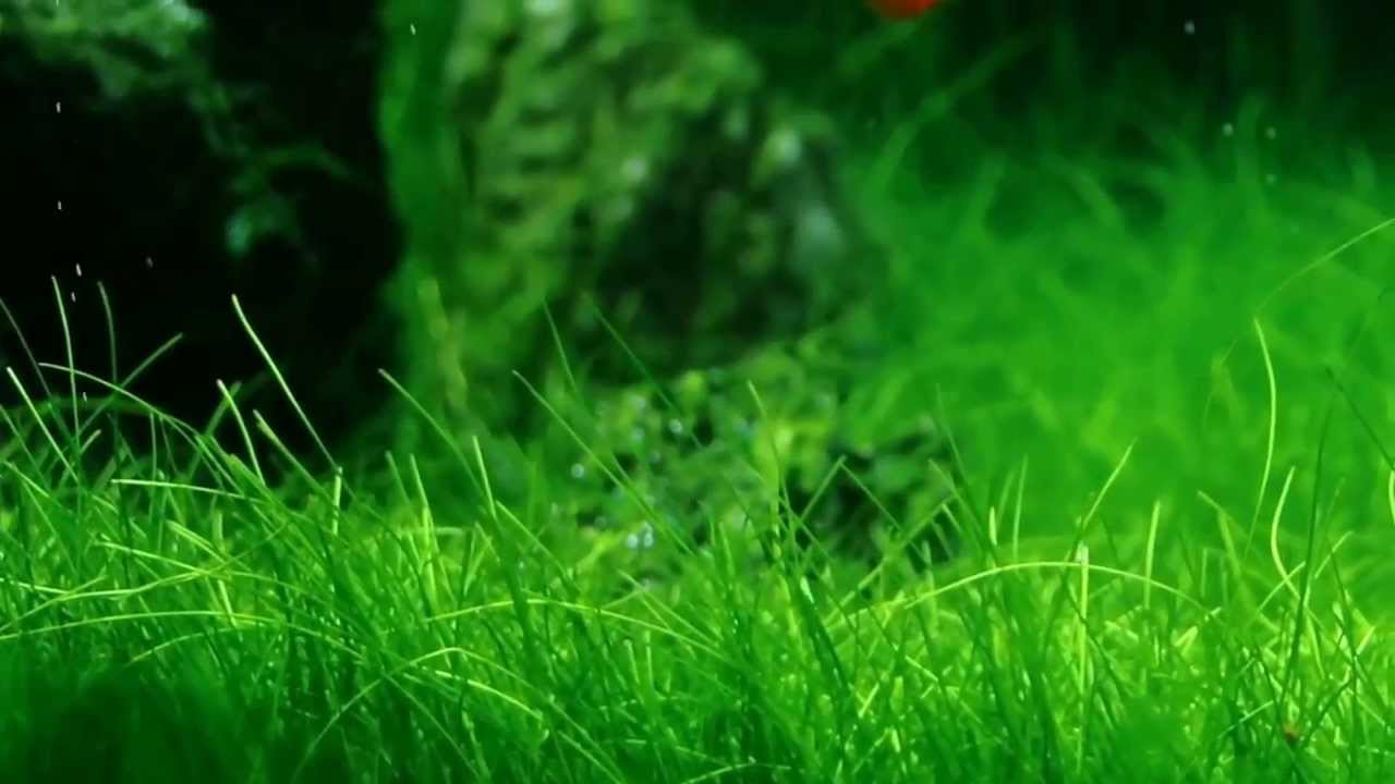 fd73af807a11575f69a9d9fbbe762440